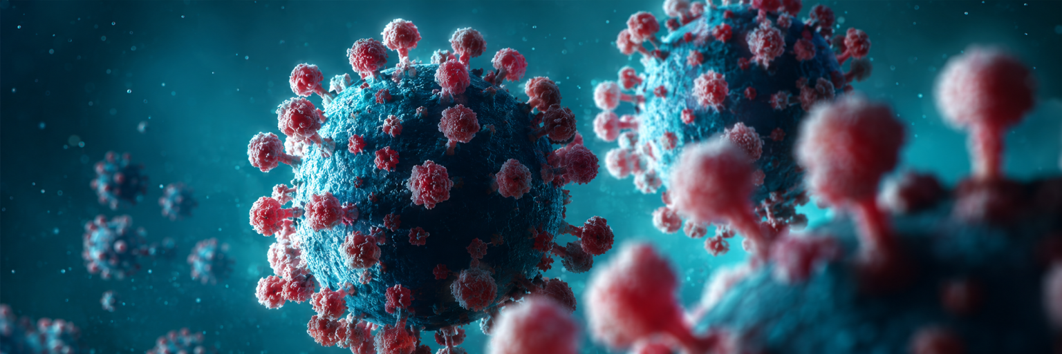 hantavirus-banner